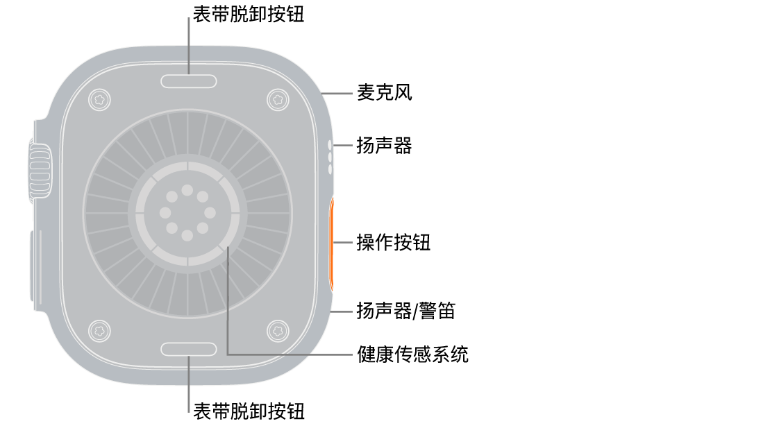 Apple&nbsp;Watch&nbsp;Ultra 4 的背面，顶部和底部是表带脱卸按钮。侧边是麦克风、扬声器、健康传感系统、操作按钮和警笛发声位置的扬声器端口。