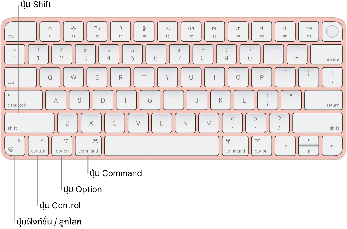 Magic Keyboard ที่มีตัวชี้บรรยายสำหรับปุ่ม Shift, Control, Option, Command และปุ่มฟังก์ชั่น/ลูกโลก