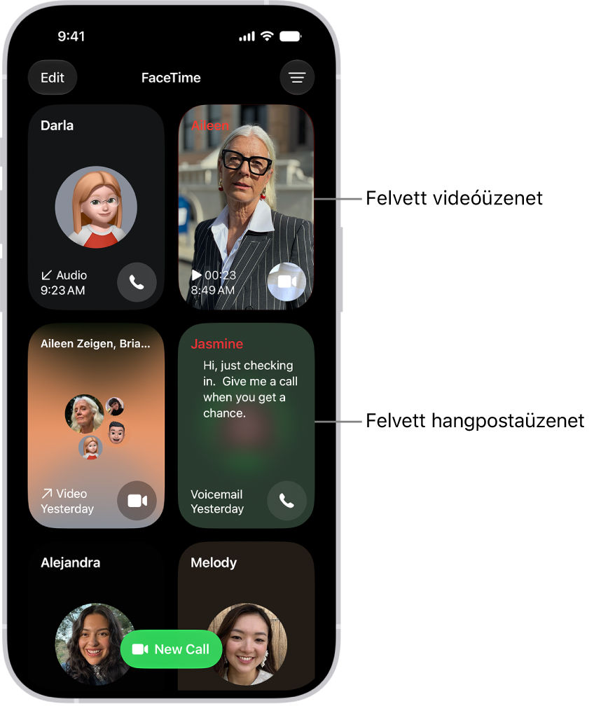 A FaceTime híváselőzményei, amelyek között egy javasolt kontakt, egy rögzített videóüzenet, egy hangpostaüzenet és egy csoportos FaceTime-videóhívás látható.