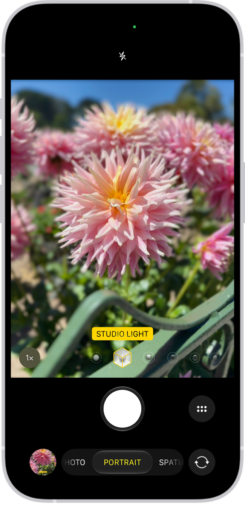 The Camera screen in Portrait mode; in the viewfinder, the subject is sharp and the background is blurred. The dial to select Portrait Lighting is open in the bottom of the frame and Studio Light is selected.