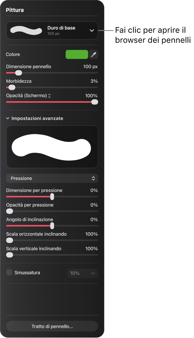 Il pannello Pittura con i controlli per la dimensione del pennello, la morbidezza, l’opacità e altro.
