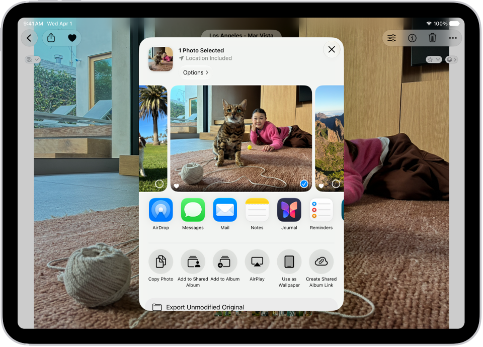 A photo is open in the Photos app and the share options are displayed in the middle of the screen.