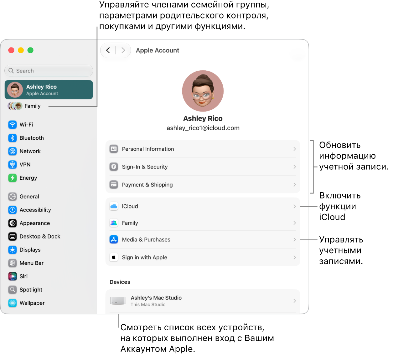 Настройки Аккаунта Apple в&nbsp;Системных настройках. Выносками показаны параметры обновления сведений учетной записи, включения или выключения функций iCloud и&nbsp;управления настройками учетных записей для мультимедиа. В&nbsp;разделе Семейного доступа показаны параметры для настройки устройств членов семьи, родительского контроля, покупок и&nbsp;другие.