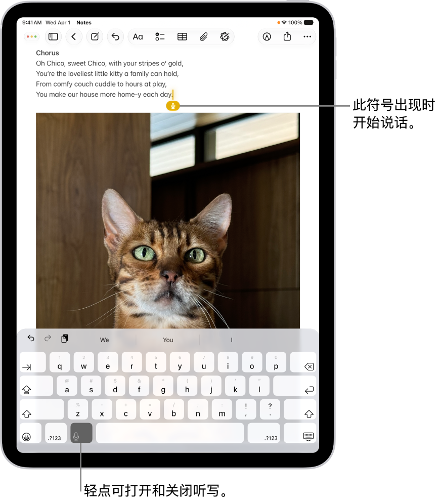 “备忘录” App 中打开的屏幕键盘。 键盘底部的“听写”按钮已选中，“听写”按钮显示在文本栏中插入点的下方。