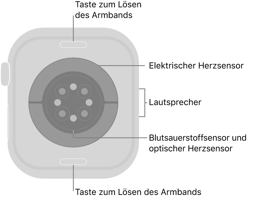 Die Rückseite der Apple&nbsp;Watch Series&nbsp;10 mit Entriegelungstasten für das Armband oben und unten, elektrischem Herzsensor, optischen Herzsensoren und dem Sensor für den Sauerstoffgehalt im Blut in der Mitte sowie dem Lautsprecher an der Seite.