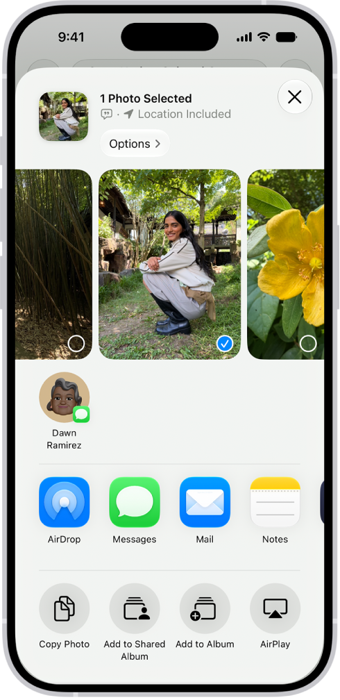 Se muestra una foto seleccionada en la mitad superior de la pantalla de un iPhone, con las opciones para compartirla debajo de ella. Debajo hay opciones adicionales, como Copiar foto, Agregar a álbum compartido, Agregar a álbum y Usar como fondo de pantalla.