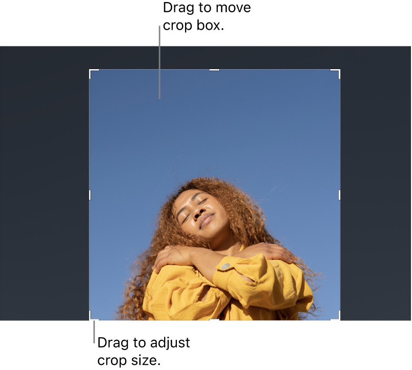 An image in the canvas with a crop box overlay.