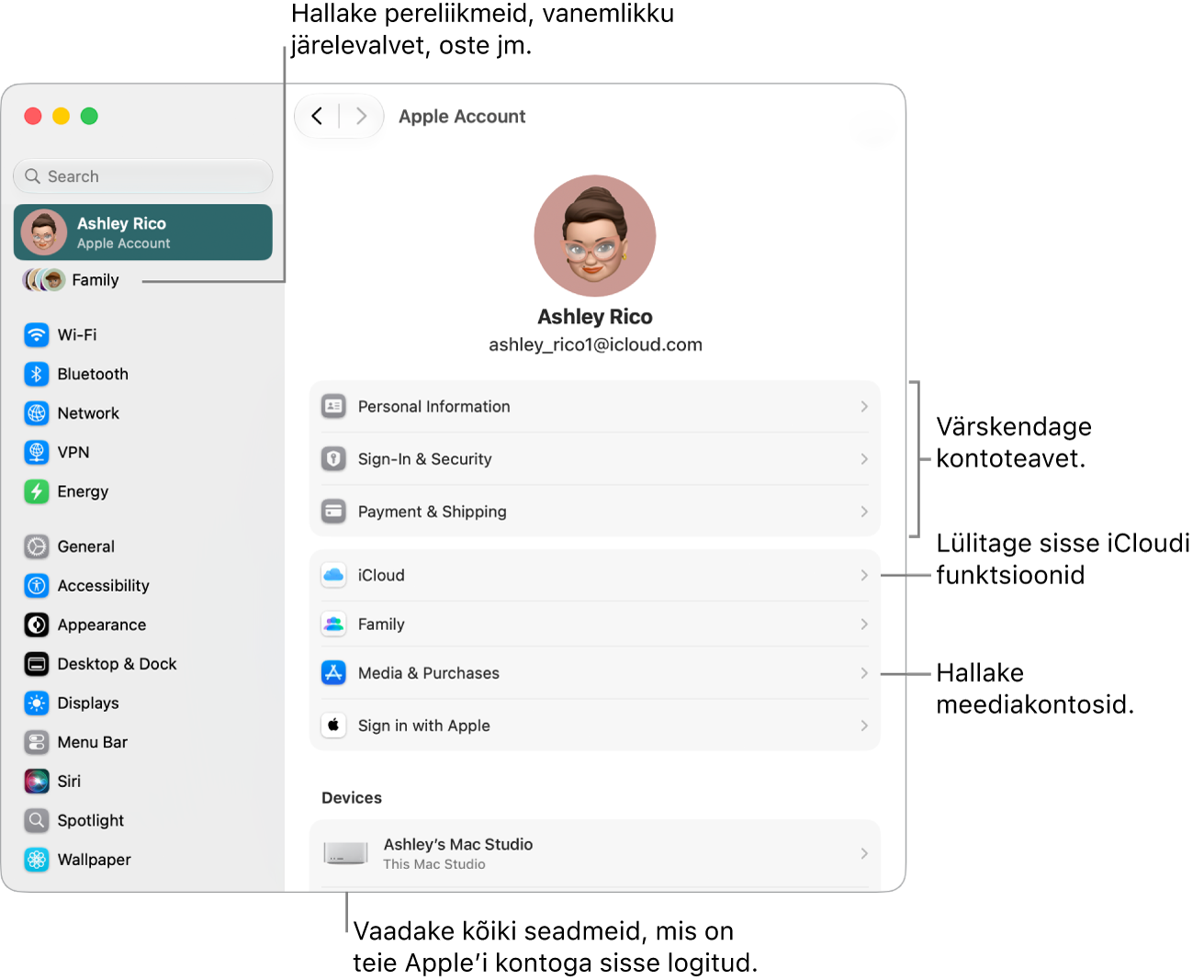Apple’i konto seaded jaotises System Settings väljaviikudega kontoinfo värskendamiseks, iCloudi funktsioonide sisse või välja lülitamiseks, meediakontode haldamiseks ning Family seadete reguleerimiseks, kust saate hallata pereliikmeid, vanemlikku järelevalvet, oste jm.