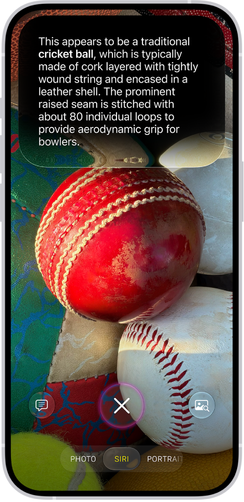 An iPhone screen shows a response from Siri identifying what's in the camera viewfinder.