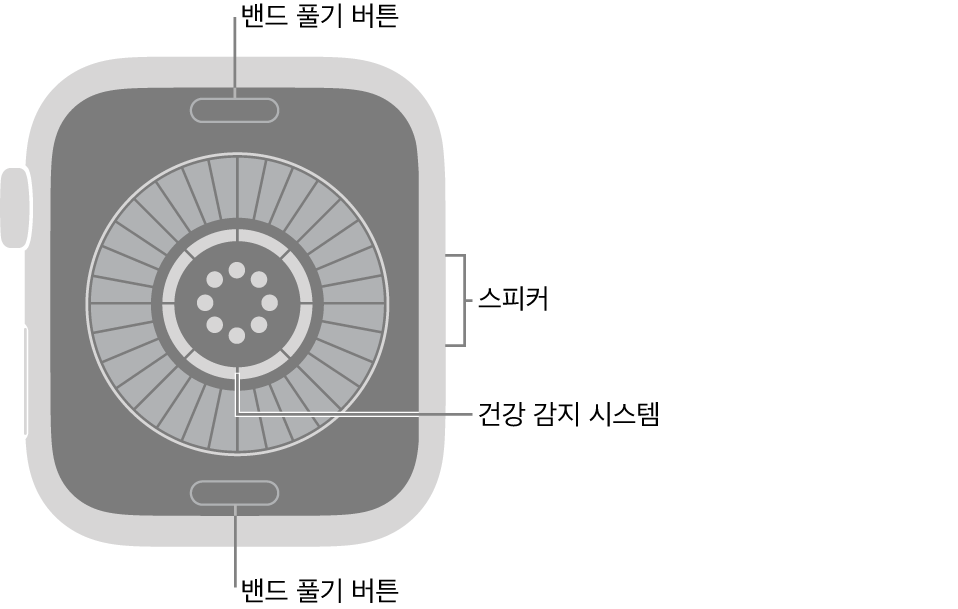 상단 및 하단에 밴드 풀기 버튼, 중앙에 건강 감지 시스템, 측면에 스피커가 보이는 Apple&nbsp;Watch Series&nbsp;12의 후면.