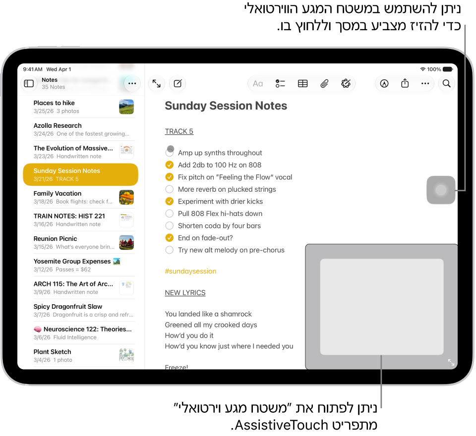 מכשיר iPad שבו מוצג משטח מגע וירטואלי בפינת המסך. נוסף לכך, במסך מוצג תפריט AssistiveTouch (המשמש לפתיחת משטח המגע) והמצביע (הנשלט על ידי משטח המגע).