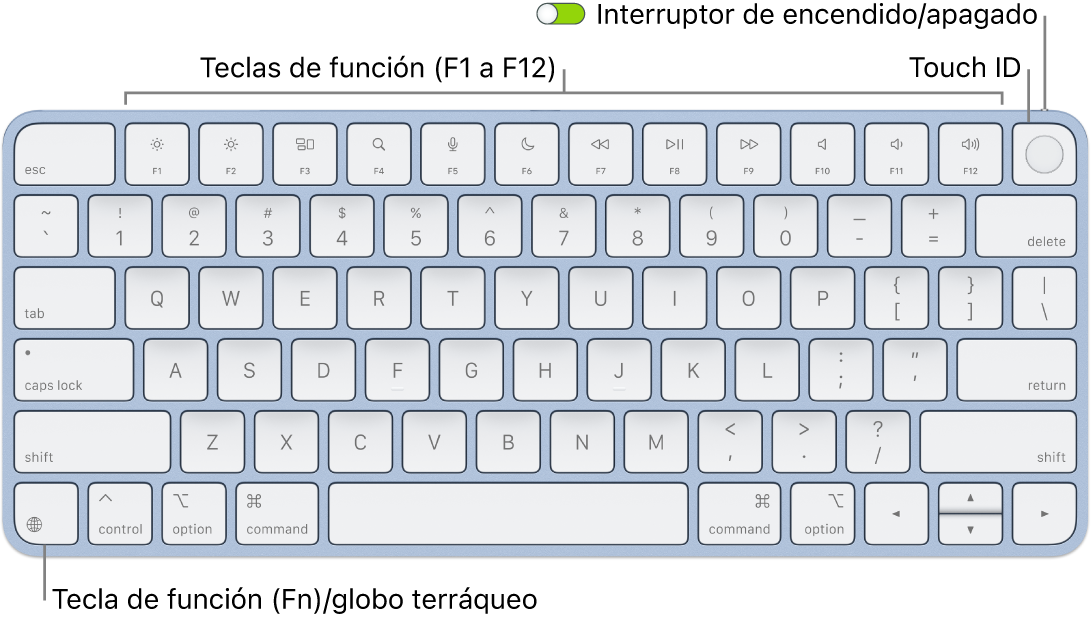 El Magic Keyboard con Touch ID mostrando la fila de teclas de función con el sensor Touch ID en la parte superior y la tecla de función (Fn)/globo terráqueo en la esquina inferior izquierda.