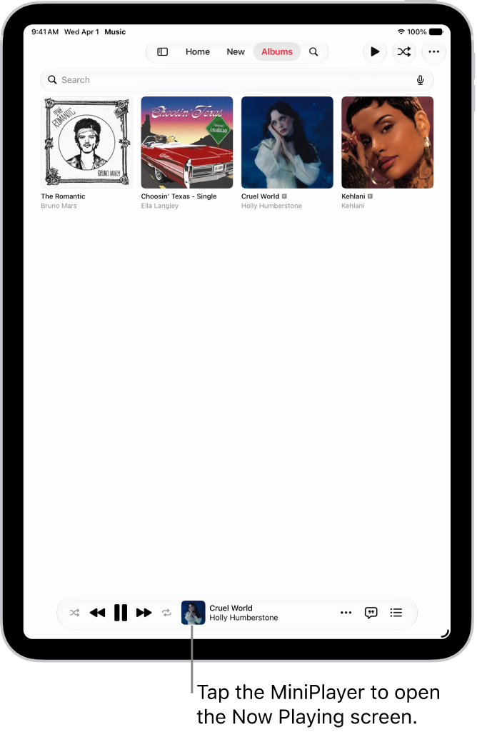 The Albums tab, showing the MiniPlayer near the bottom. The MiniPlayer shows the title of the song that’s playing.