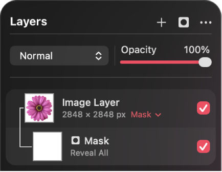 A mask layer in the Layers sidebar.