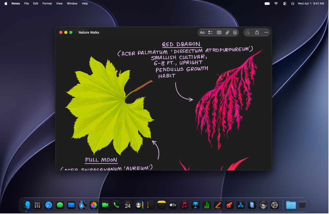 A Mac desktop set to the dark appearance, showing an app window, the Dock and the menu bar, which are dark.