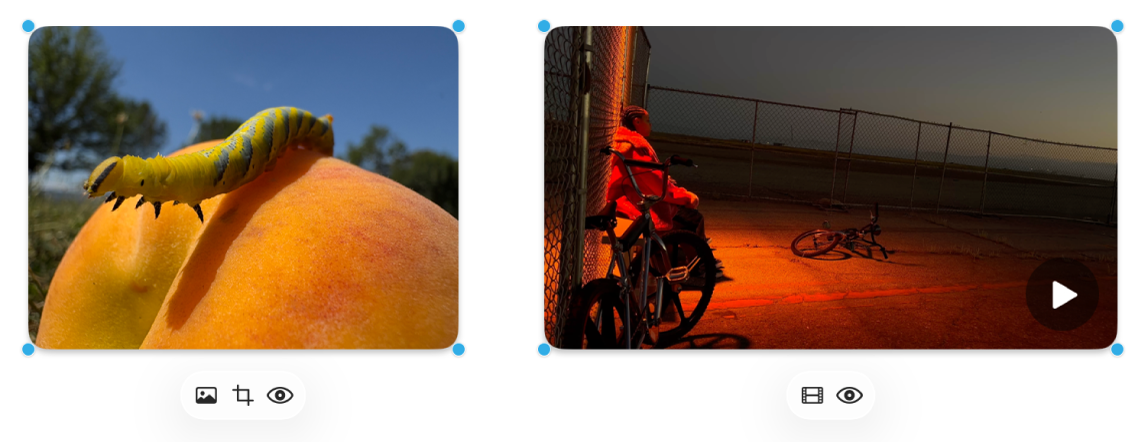 Une photo et une vidéo accompagnées des outils de mise en forme.