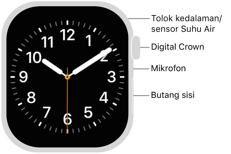 Bahagian depan Apple&nbsp;Watch Series 12, dengan paparan menunjukkan muka jam dan Digital Crown, mikrofon serta butang sisi dari atas ke bawah pada bahagian sisi jam.
