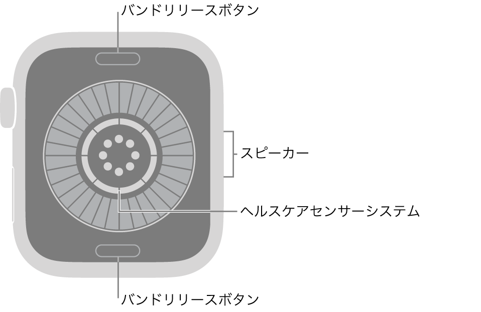 Apple Watch Series 12の背面で、上下にバンドリリースボタン、中央に健康状態センサーシステム、側面にはスピーカーがあります。