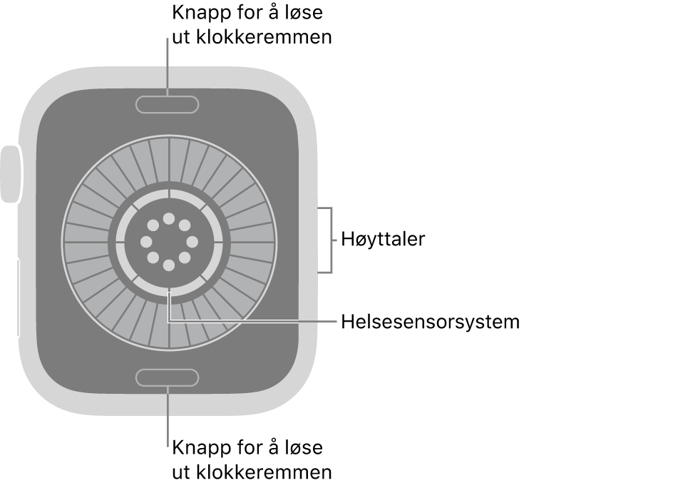 På baksiden av Apple&nbsp;Watch Series&nbsp;12 vises remutløserknappene øverst og nederst, helsemålingssystemet i midten og høyttaleren på siden.