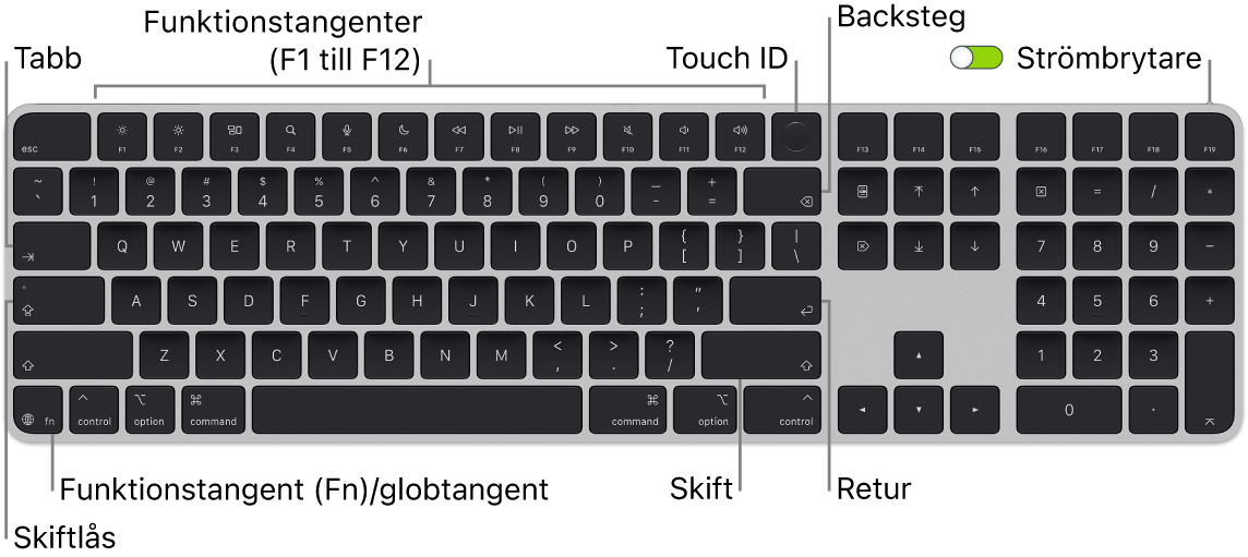 Magic&nbsp;Keyboard med Touch&nbsp;ID och numeriskt tangentbord där raden med funktionstangenter och Touch&nbsp;ID visas längs överkanten och funktions (Fn)-/globtangenten i nedre vänstra hörnet.