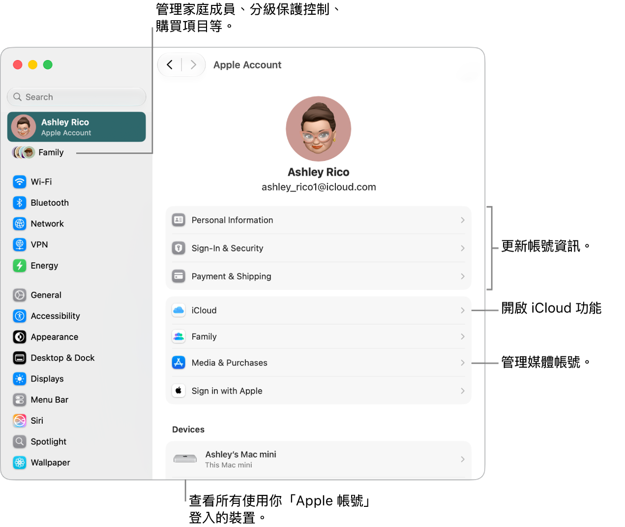「系統設定」中的「Apple 帳號」設定包含更新帳號資訊、開啟或關閉 iCloud 功能、管理媒體帳號以及調整「家人共享」設定，如管理家庭成員、分級保護控制、購買項目和更多內容的說明框。