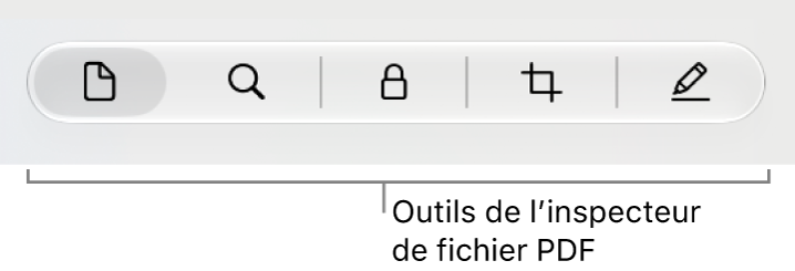 Outils de l’inspecteur de fichiers PDF.