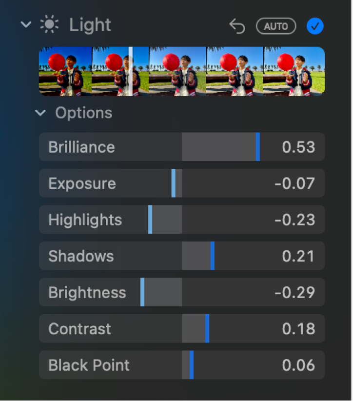 The Light area of the Adjust pane, showing sliders for Brilliance, Exposure, Highlights, Shadows, Brightness, Contrast, and Black Point.