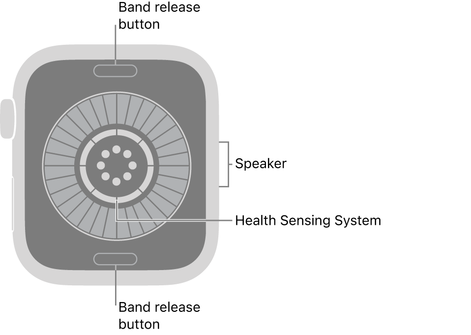 The back of Apple Watch Series 12, with the band release buttons at top and bottom, the health sensing system in the middle, and the speaker on the side.