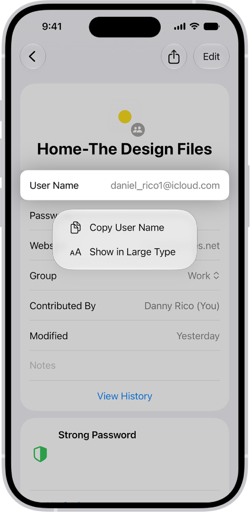 An account screen showing the user name highlighted, with options to Copy User Name and Show in Large Type.