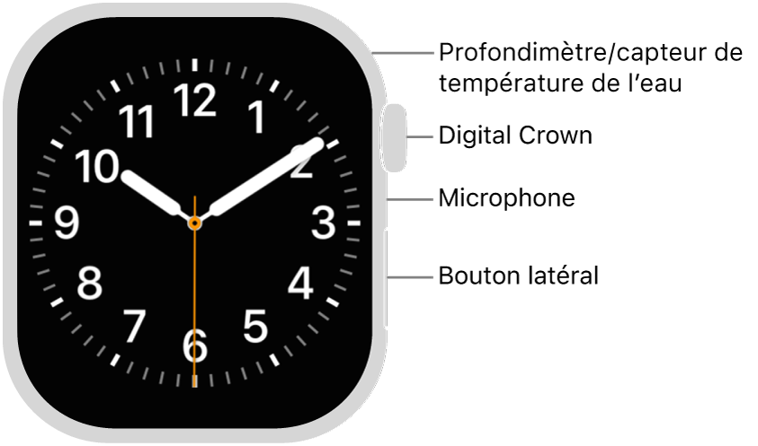 Le devant de l’Apple&nbsp;Watch&nbsp;Series&nbsp;12, avec l’écran qui affiche le cadran et la Digital&nbsp;Crown, le micro ainsi que le bouton latéral de haut en bas sur le côté de la montre.