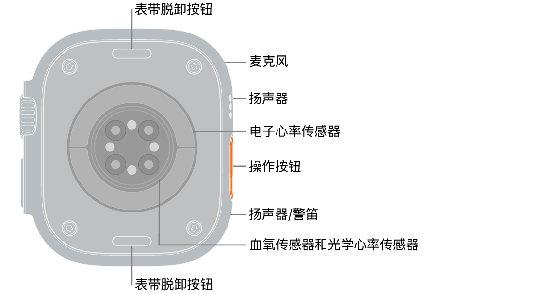 Apple&nbsp;Watch&nbsp;Ultra 3 表背，顶部和底部是表带脱卸按钮。侧边是麦克风、扬声器、电子心率传感器、操作按钮、警笛发声位置的扬声器端口、血氧传感器和光学心率传感器。