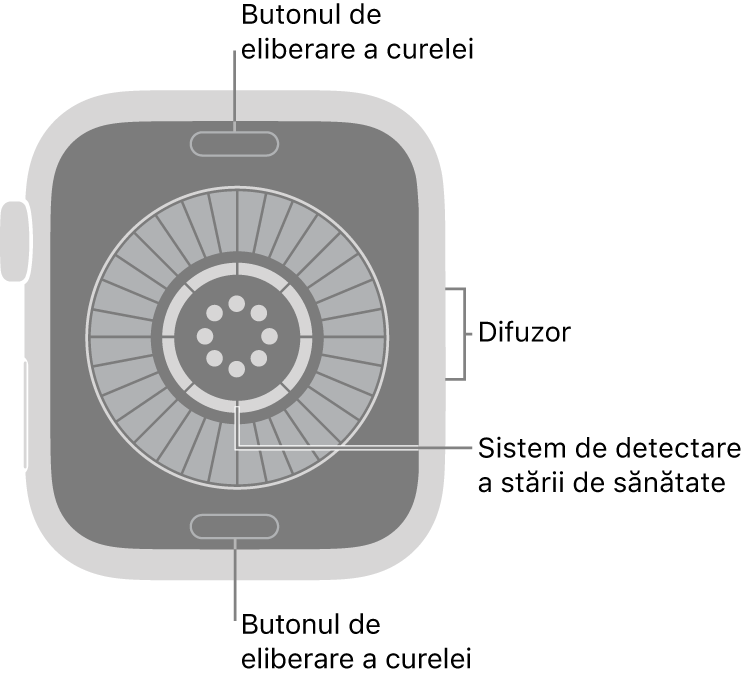 Spatele dispozitivului Apple&nbsp;Watch Series&nbsp;12, cu butoanele de eliberare a brățării în partea de sus și de jos, sistemul de detectare a stării de sănătate în mijloc și difuzorul pe partea laterală.