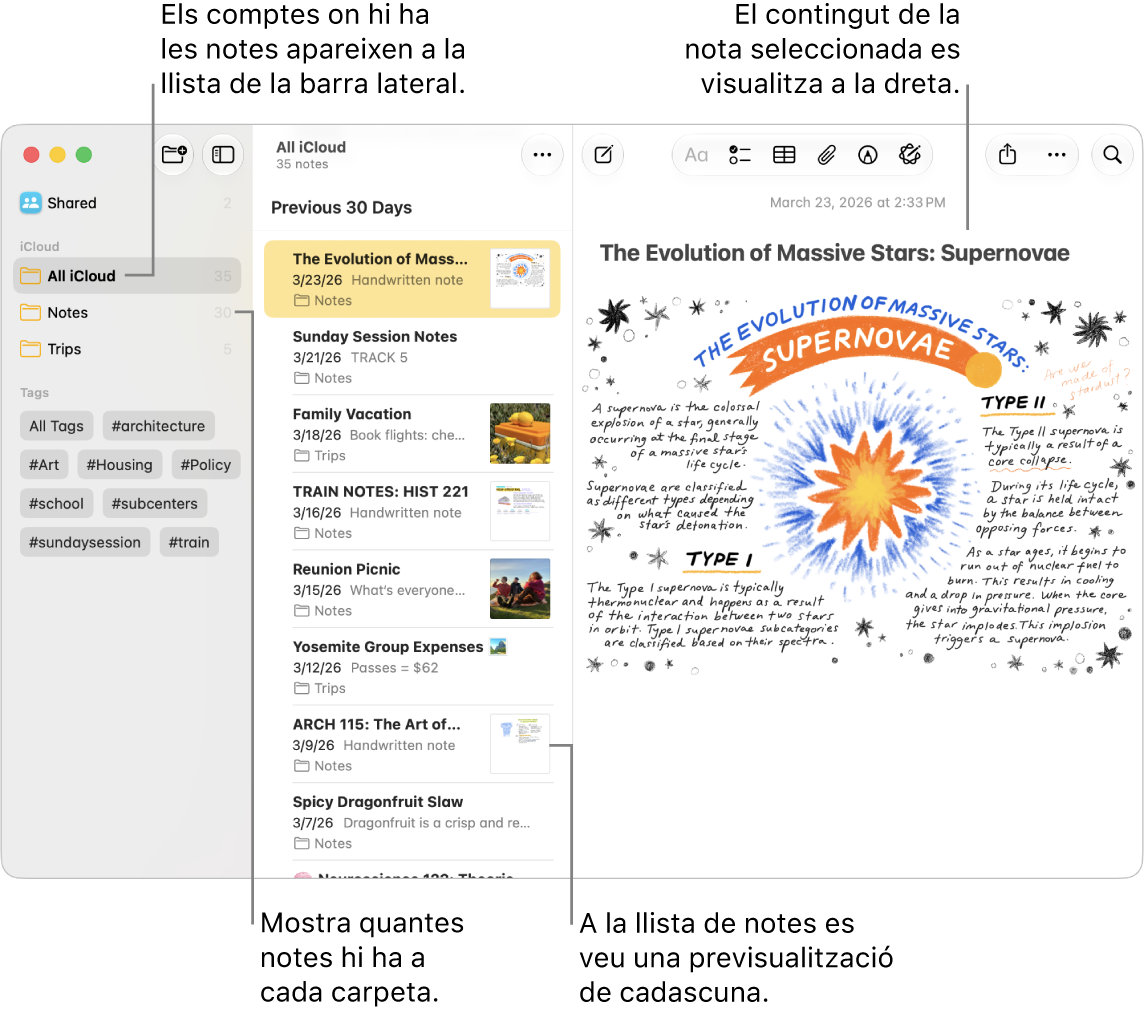 Una finestra de l’app Notes del Mac que mostra tots els comptes i carpetes configurats a la barra lateral de l‘esquerra, la llista de notes al centre (amb una previsualització de cada nota) i el contingut de la nota seleccionada a la dreta. El nombre de notes es mostra al costat de cada carpeta.