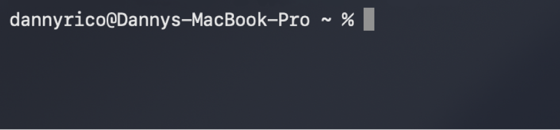 A Terminal window showing the command line.