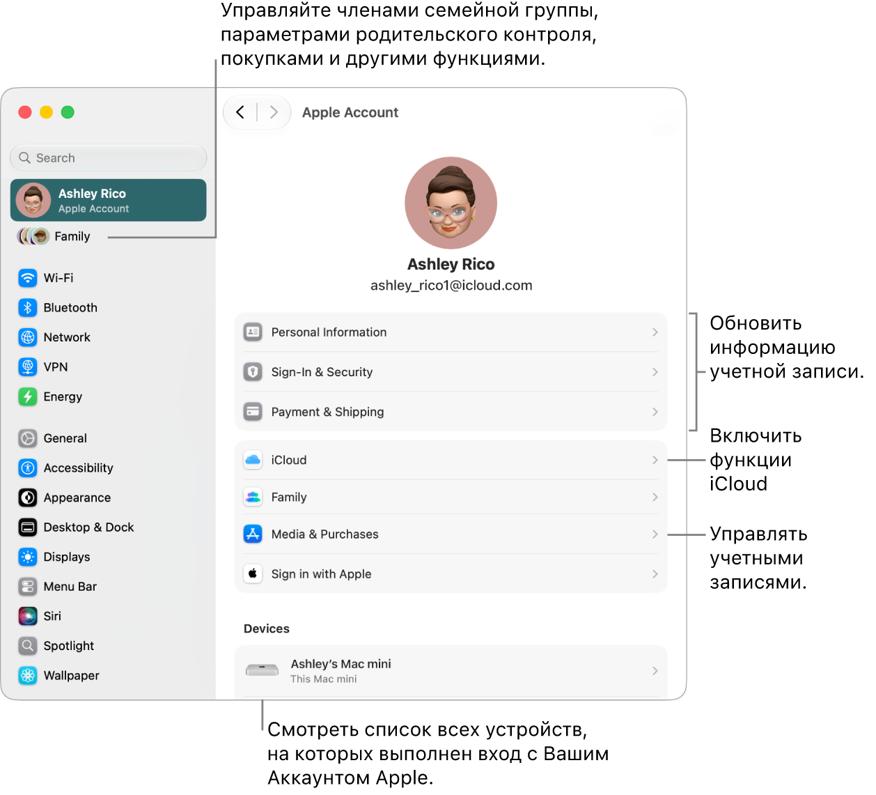 Настройки Аккаунта Apple в&nbsp;Системных настройках. Выносками показаны параметры обновления сведений учетной записи, включения или выключения функций iCloud и&nbsp;управления настройками учетных записей для мультимедиа. В&nbsp;разделе Семейного доступа показаны параметры для настройки устройств членов семьи, родительского контроля, покупок и&nbsp;другие.