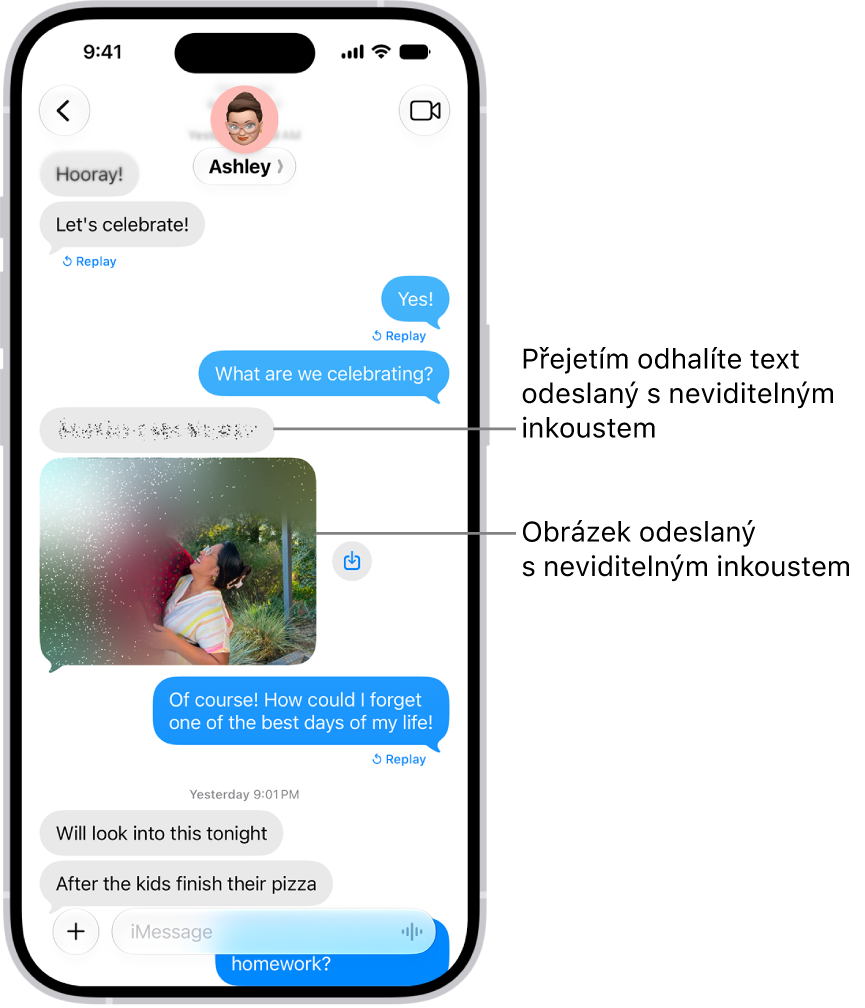 Konverzace v&nbsp;aplikaci Zprávy s&nbsp;textovou zprávou a&nbsp;fotkou odeslanou s&nbsp;efektem neviditelného inkoustu