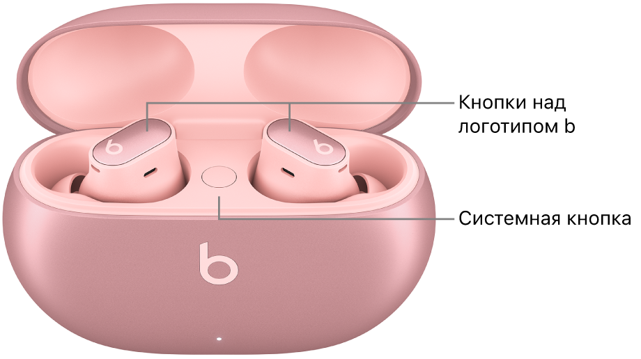 Изображены наушники Beats Studio&nbsp;Buds&nbsp;+. Показано расположение кнопок&nbsp;над&nbsp;логотипом&nbsp;b на&nbsp;наушниках и&nbsp;системной кнопки внутри зарядного футляра.