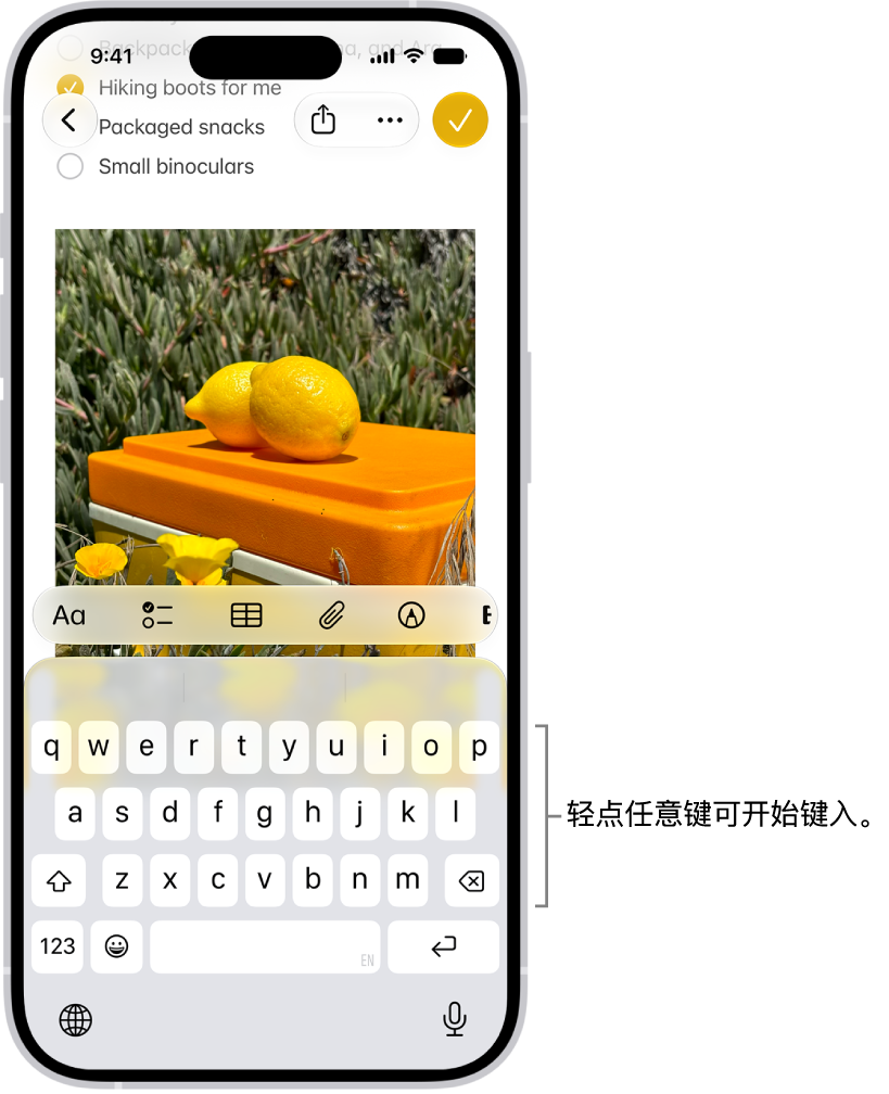 “备忘录” App 中打开的文稿。屏幕键盘位于屏幕下半部分。