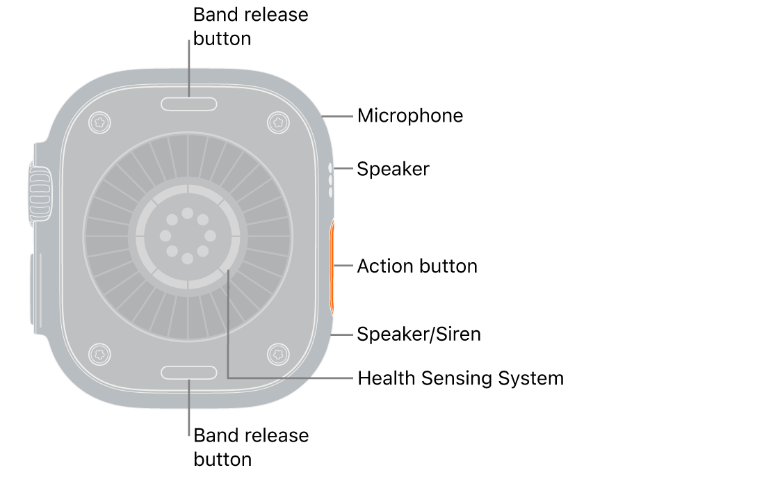 The back of Apple Watch Ultra 4, with the band release buttons at top and bottom. On the side are a microphone, a speaker, the health sensing system, the Action button, and a speaker port from which the siren emits.