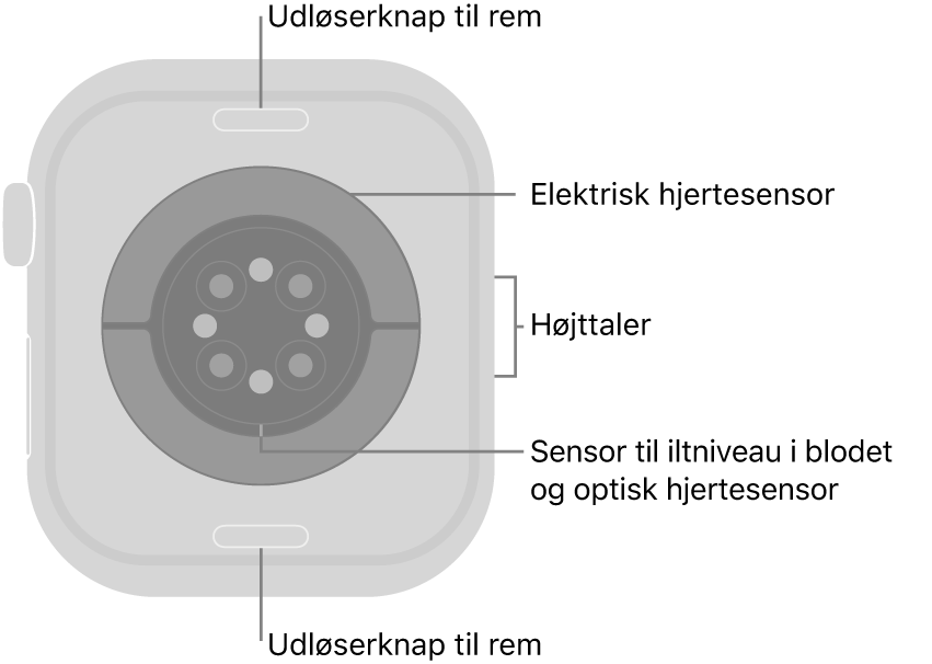 Bagsiden af Apple&nbsp;Watch Series&nbsp;10 med udløserknapperne til remmen foroven og forneden, de elektriske pulsmålere, de optiske pulsmålere og sensorerne til iltniveau i blodet i midten og højttaleren på siden.