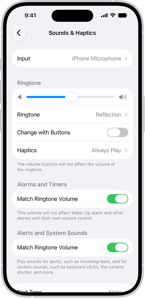 The Sounds and Haptics screen in Settings.