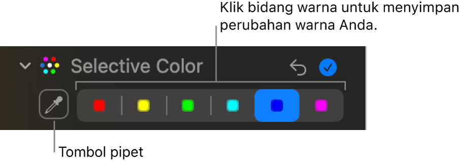 Kontrol Pilihan Warna di panel Sesuaikan, menampilkan tombol Pipet dan sumber warna.