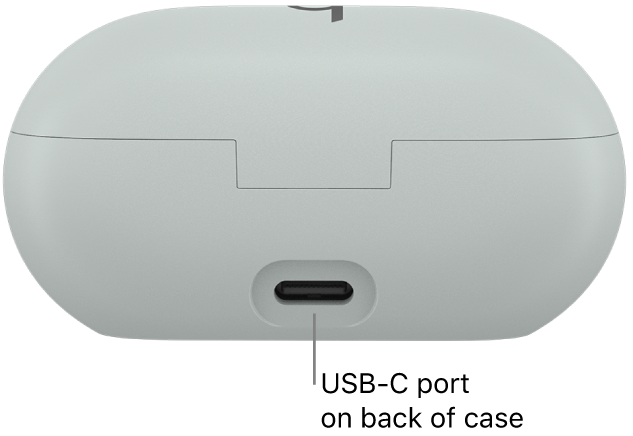 USB-C charging port on the back of the Beats Solo&nbsp;Buds charging case.