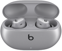 Beats&nbsp;Studio&nbsp;Buds&nbsp;+ and charging case in Cosmic Silver.