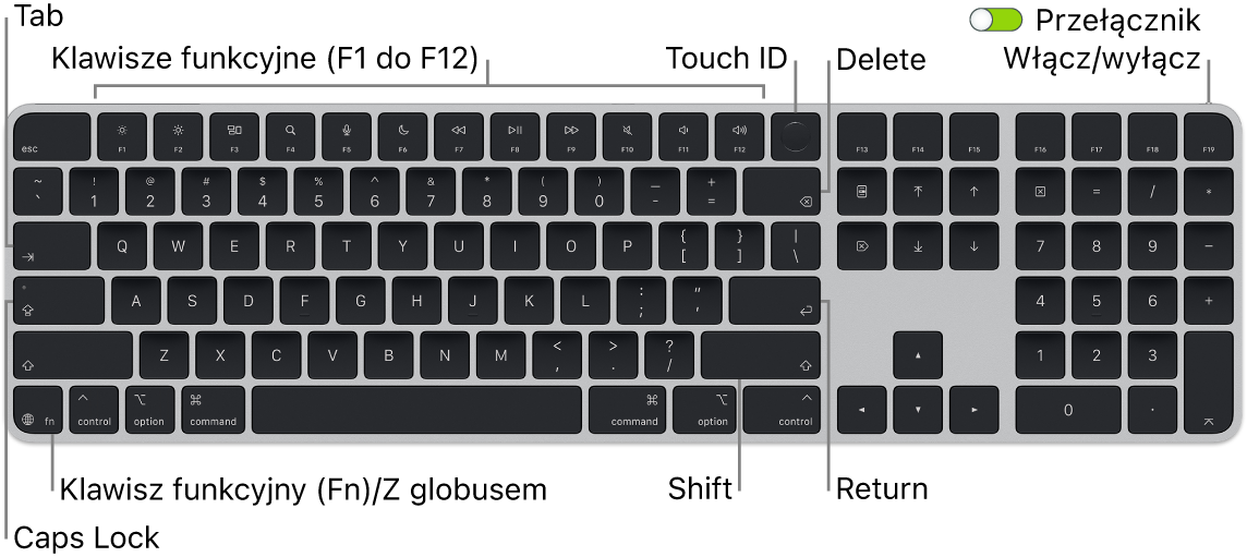 Klawiatura Magic Keyboard z&nbsp;Touch&nbsp;ID oraz klawiaturą numeryczną. Na górze znajduje się rząd klawiszy funkcyjnych oraz czytnik Touch&nbsp;ID, natomiast w&nbsp;lewym dolnym rogu widoczny jest klawisz funkcji (Fn) / klawisz globu.