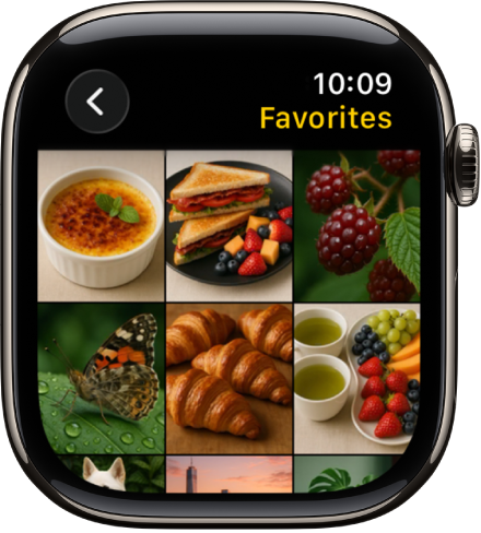The Photos app on Apple&nbsp;Watch showing an album called Favorites, with several photos displayed in a grid.