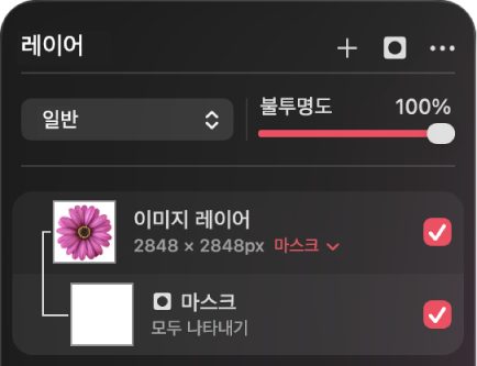 레이어 사이드바의 마스크 레이어.