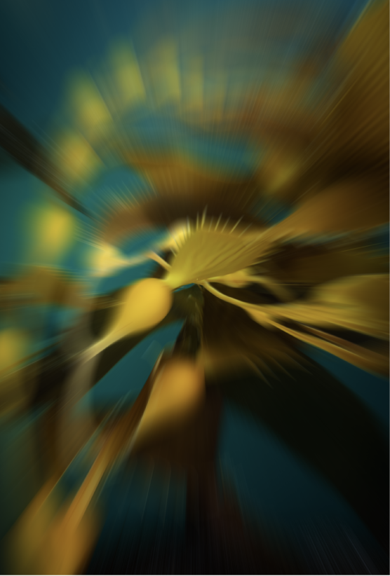 An image with the Zoom blur applied.