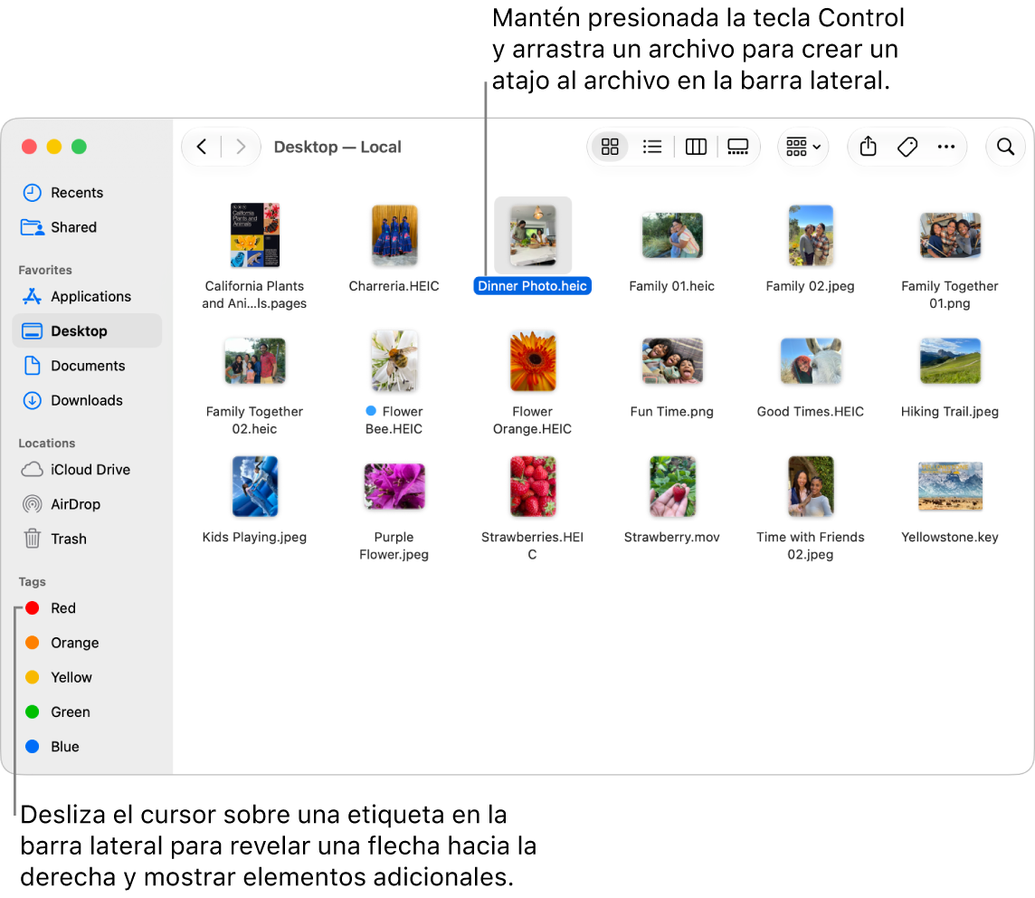 Del lado derecho de Ubicaciones en la barra lateral del Finder hay una flecha para hacer clic y mostrar elementos adicionales. En la ventana derecha del Finder, se selecciona un archivo y hay un atajo al archivo en la barra latera, debajo de Favoritos.