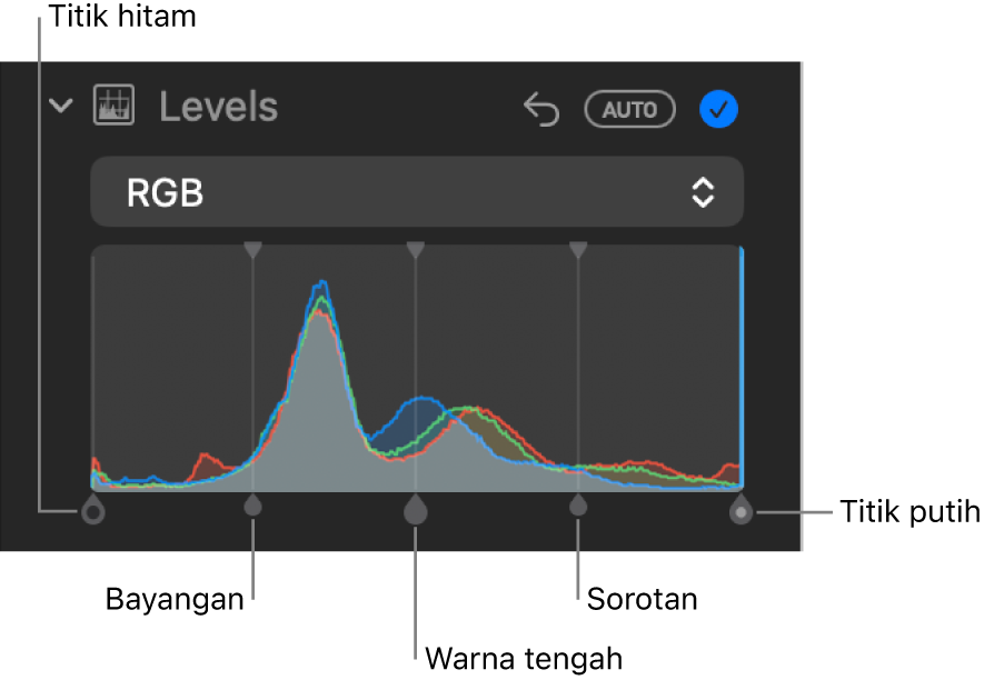Kontrol Level di panel Sesuaikan, menampilkan histogram RGB dengan pengendali di bawah, termasuk (dari kiri ke kanan) titik hitam, bayangan, warna tengah, sorotan, dan titik putih.